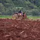 Soil is plowed at Farm Chokchai in Pak Chong, Thailand. Farm Chokchai is one of the larger dairy producers in Thailand. Image by Mark Hoffman. Thailand, 2019. 