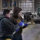 Workers take care of dairy cattle at Drake Dairy Inc. in Elkhart Lake. Image by Mark Hoffman. United States, 2019.