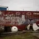 Graffiti of polar bear on cargo box. Image by Nick Mott. United States, 2019.