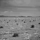 Desertification is one of the impacts of drought in Gavkhouni—the spread of vegetation is one possible solution. Image by Ako Salemi. Iran, 2016.