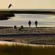 A sandbar at low tide at Grays Beach. Image by John Tlumacki. United States, 2019.