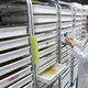Leslie Russo feeds&nbsp;Aedes aegypti&nbsp;mosquitoes pupae, a solution made with beef liver. Image by Mark Hoffman. United States, 2017.