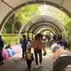 At the marriage market in Shanghai parents post resumes of their children in hopes of finding a spouse for them. The young and their elders read the resumes as they walk through the market. Image by&nbsp;Argentina Maria-Vanderhorst. China, 2018.