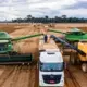Eight million tons of soy are exported annually, primarily for use as livestock feed. Image by Sebastián Liste. Brazil, 2019.