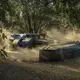 Machines crawl through the plots of almond trees, shaking each one to force the almonds to drop. Image by Larry C. Price. California, 2018.
