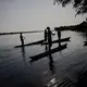 Fishermen on the river Rukie hunt a mamba in the trees near their village. Image by Hugh Kinsella Cunningham. Congo, 2019.
