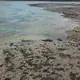 A woman walks among the shallow water seaweed farms on Zanzibar's main island. Image by Haley Joelle Ott. Zanzibar,&nbsp;2017.