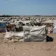 Makeshift tents held together with rope and protected by sticks bake under the sun in Mishqafa camp. Image by Alex Potter. Yemen, 2018. 